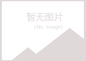 鹤岗南山白易美容有限公司